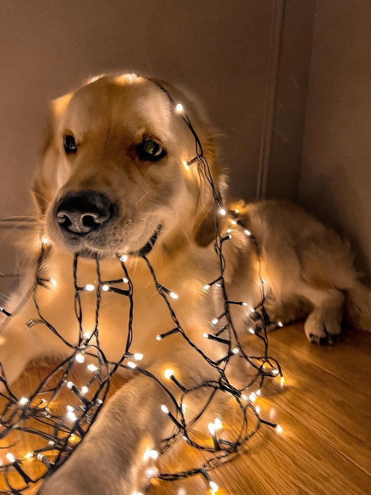 iti malias (@itimaliasof) on Twitter photo 