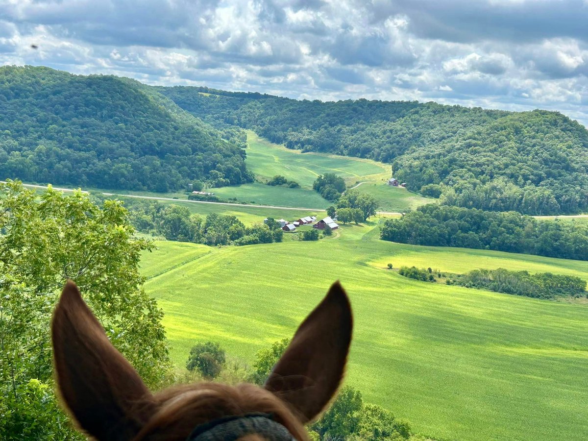 I recently made the decision to retire early after a long career as a 9-1-1 dispatcher. 

Fatigue, difficulty multi tasking, brain fog...I was very afraid I was going to be one call away from being spotlighted on the news as a horrible dispatcher that botched a call and killed