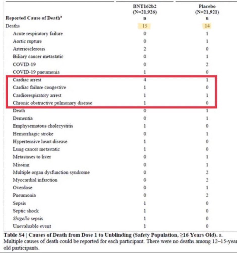 Luiz M.D. tweet media