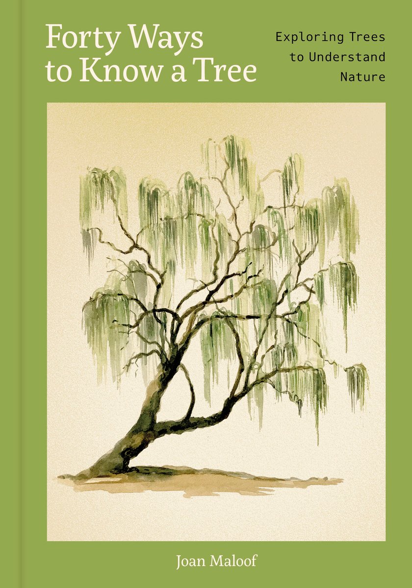 New book by Joan Maloof - Forty Ways to Know a Tree: Exploring Trees to Understand Nature. "Discover the incredible life of trees through forty eye-opening short essays that explore trees as miraculous, living, breathing protectors of our Earth" bookshop.org/p/books/forty-…