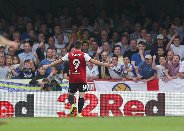 beesyellow22 tweet media