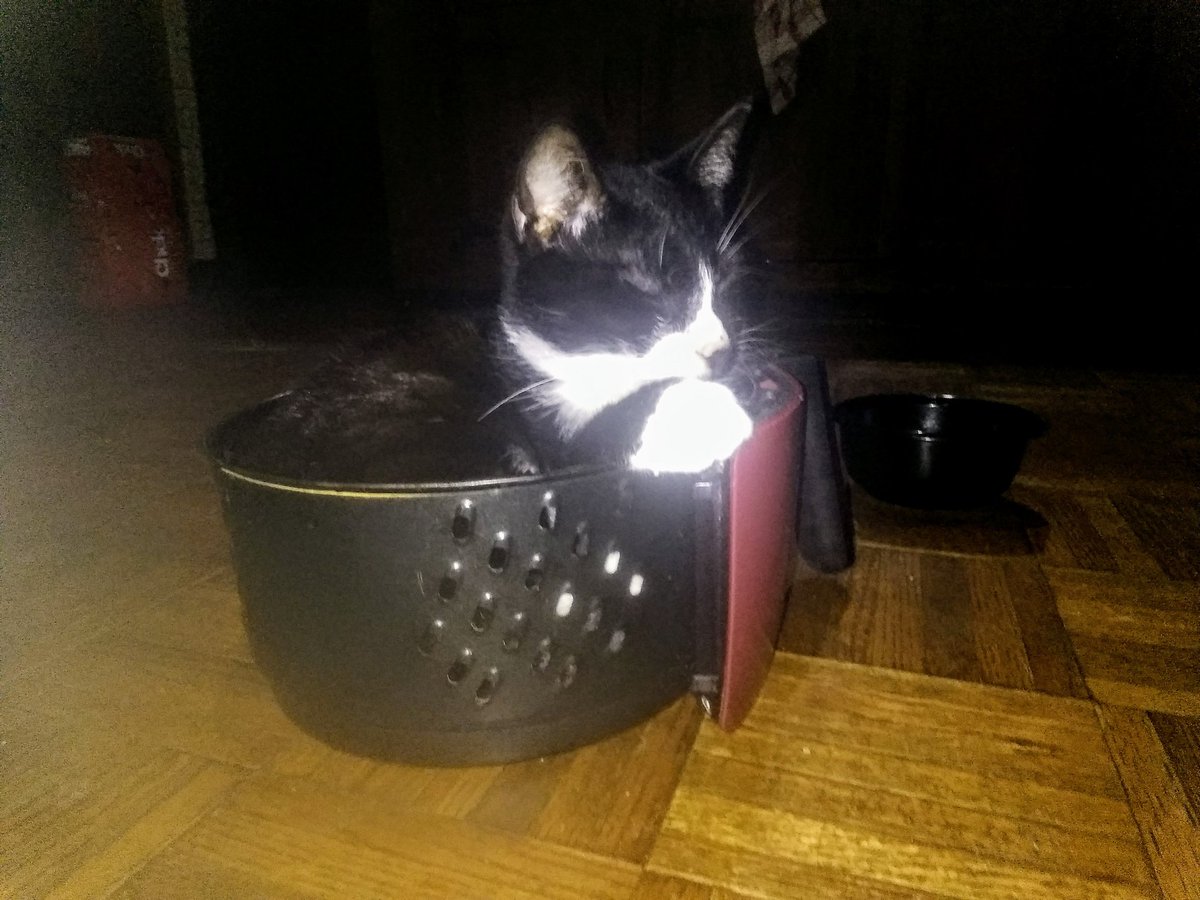 IncholerDesign's tweet image. 