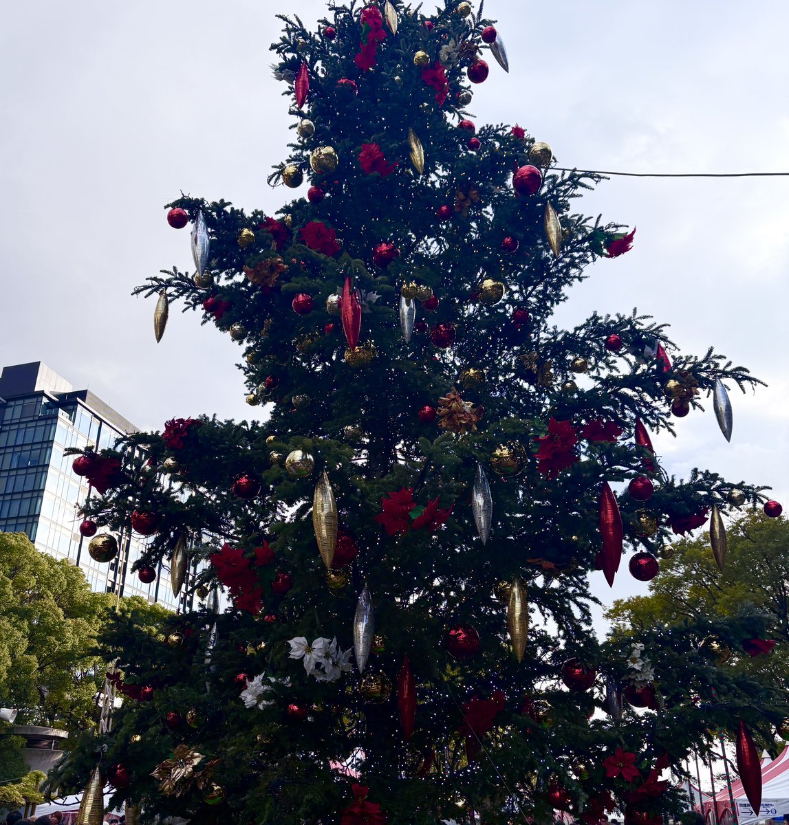 fortune_0331's tweet photo. おはようございます！
今日も名古屋は寒いですが、天気は晴れ☀️

もうすぐクリスマスですね🎄
街もイルミネーションで賑わっています。
先日、名古屋クリスマスマーケットを少し見てきましたが、大きなツリーがとても綺麗でした✨
寒さに気をつけて、今日も1日頑張りましょう！

#企業公式相互フォロー https://t.co/OWDJNtTPTJ