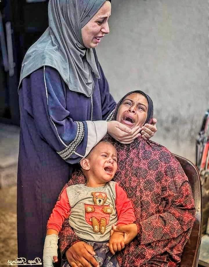 همام شعلان || H . Shaalan (@osswsso) on Twitter photo 