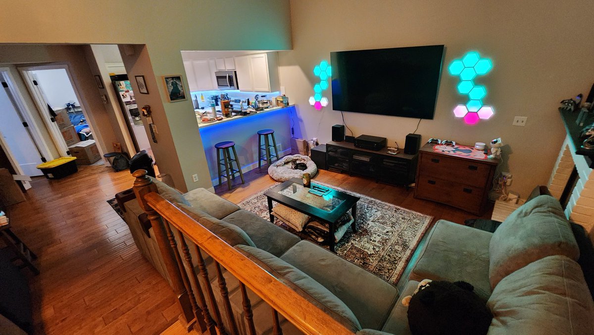 Anec Husky tweet media