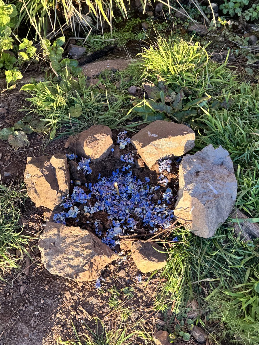 Mona Fang tweet media