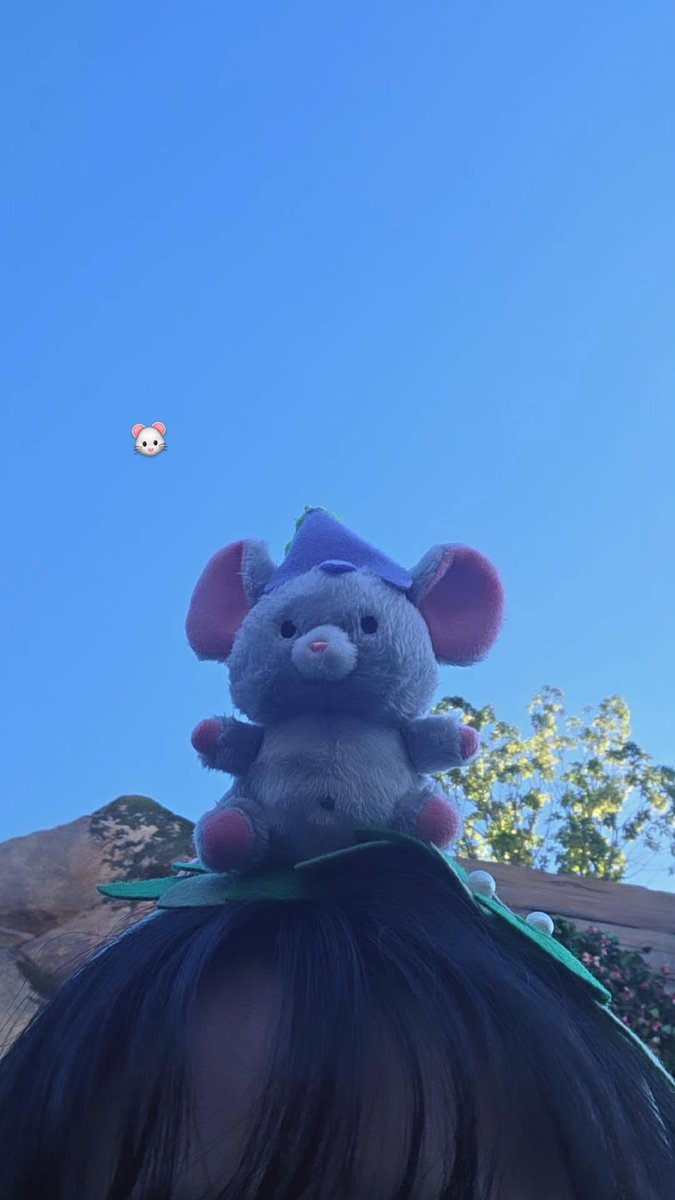 ディズニー来た🐭🐭✨