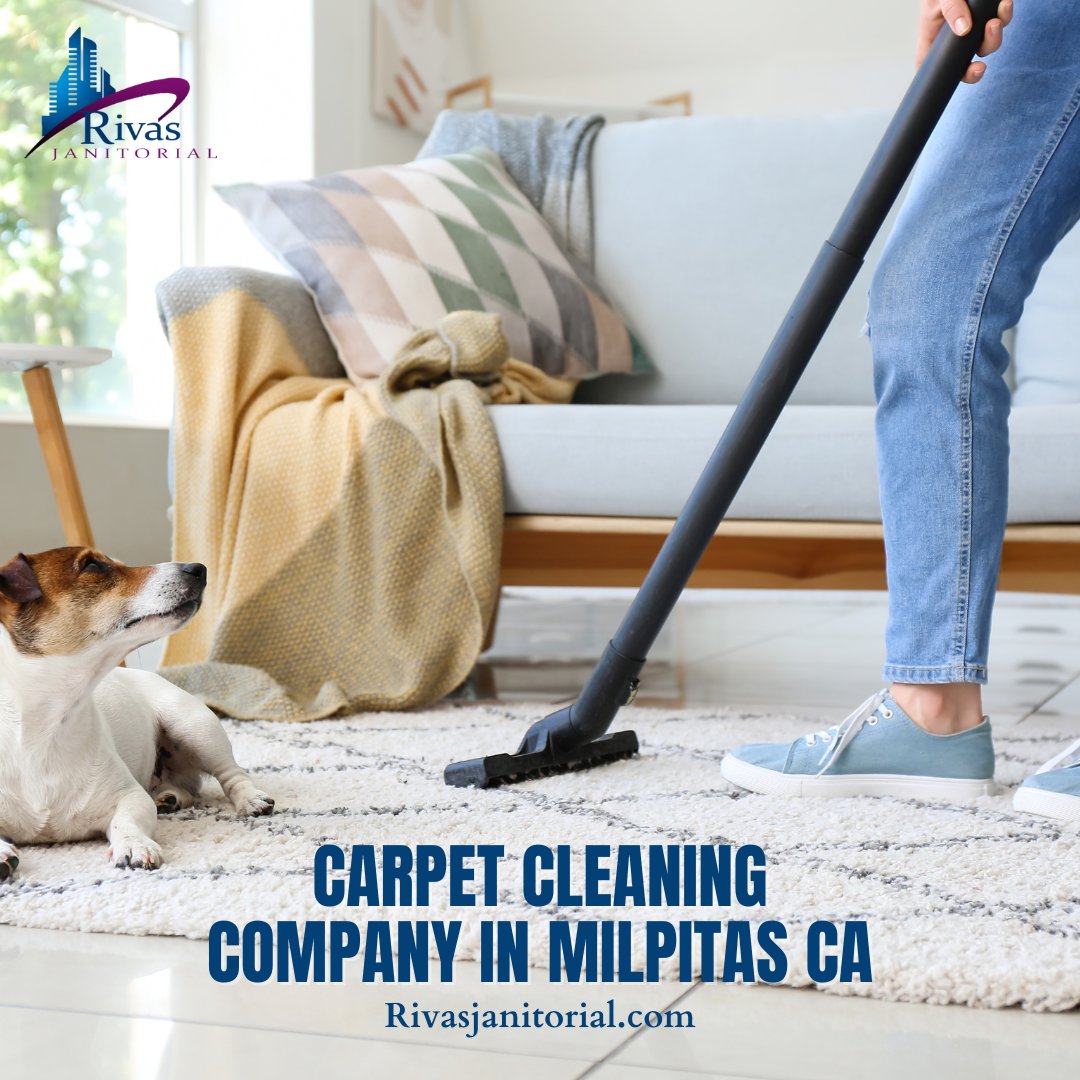 RivasJanitorial's tweet photo. Dirty carpets don’t just look bad they trap dust, allergens and odors.
Professional carpet cleaning in Milpitas restores freshness, extends carpet life, and keeps your space healthy.

👉 Book your carpet #cleaning today. https://t.co/wrf5L86is2

#CarpetCleaning #MilpitasCA https://t.co/0n3Np89OQc