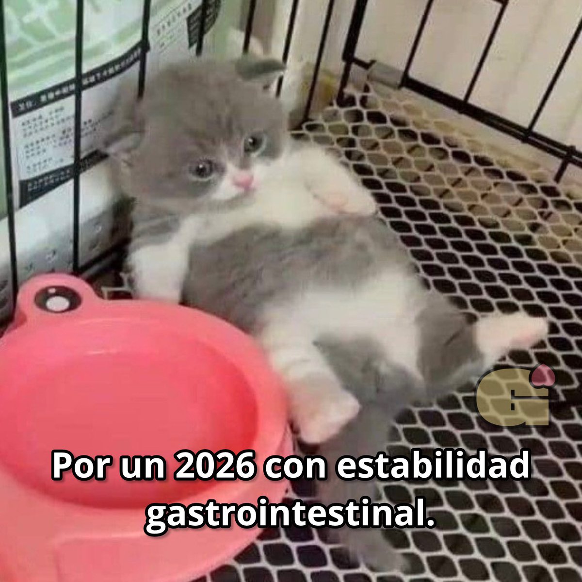 Guarromantico_'s tweet photo. Por un 2026. https://t.co/G5SJasypvK