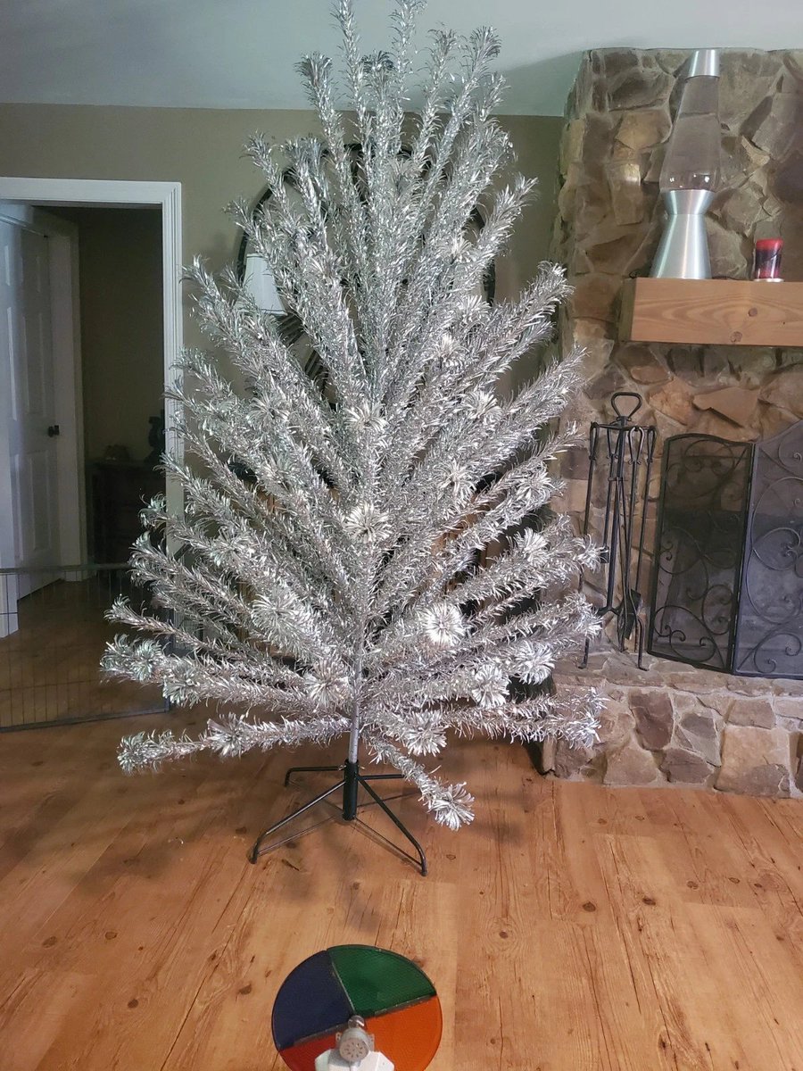 Trevor Donovan tweet media