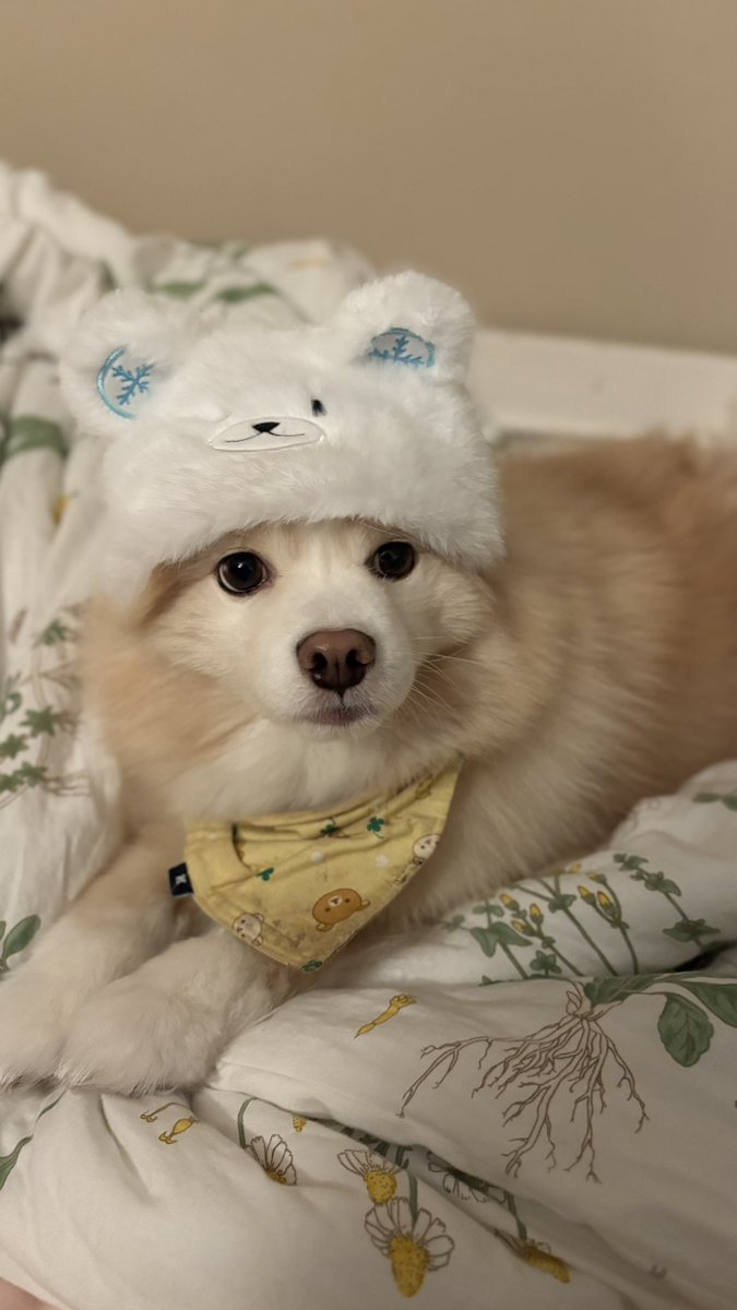 mousususususususu tweet media