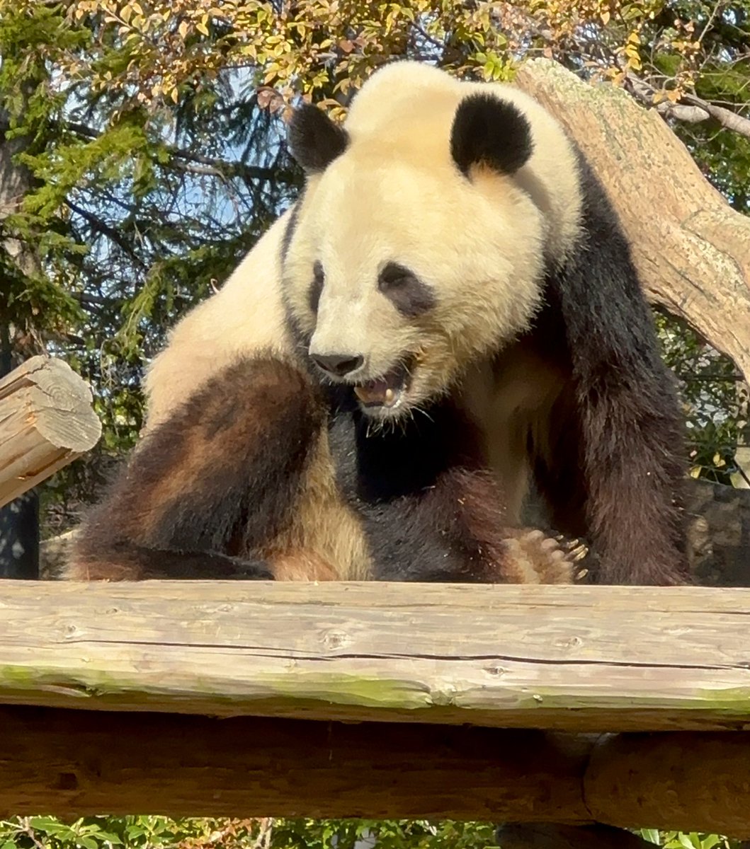 ゆかたん (@yu_ka7493) / Posts / X