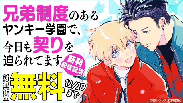 ✧新刊情報✧ ＝＝＝＝＝ 赤いシラフ先生（@akaishirafu） 『兄弟制度