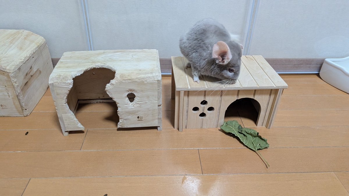 はなげさん tweet media