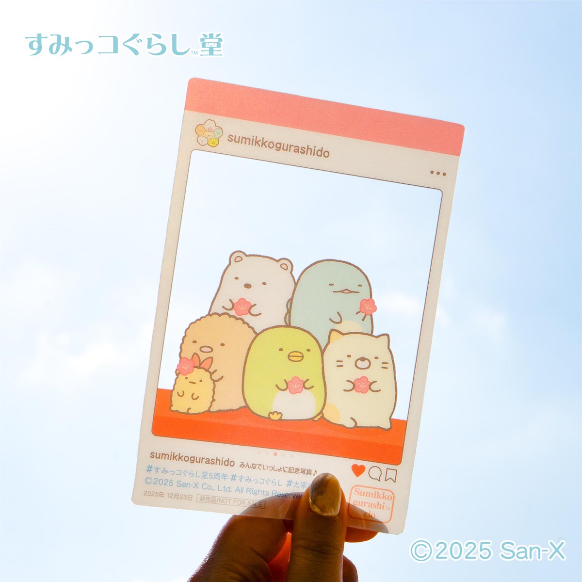 すみっコぐらし【公式】 (@sumikko_335) / Posts / X