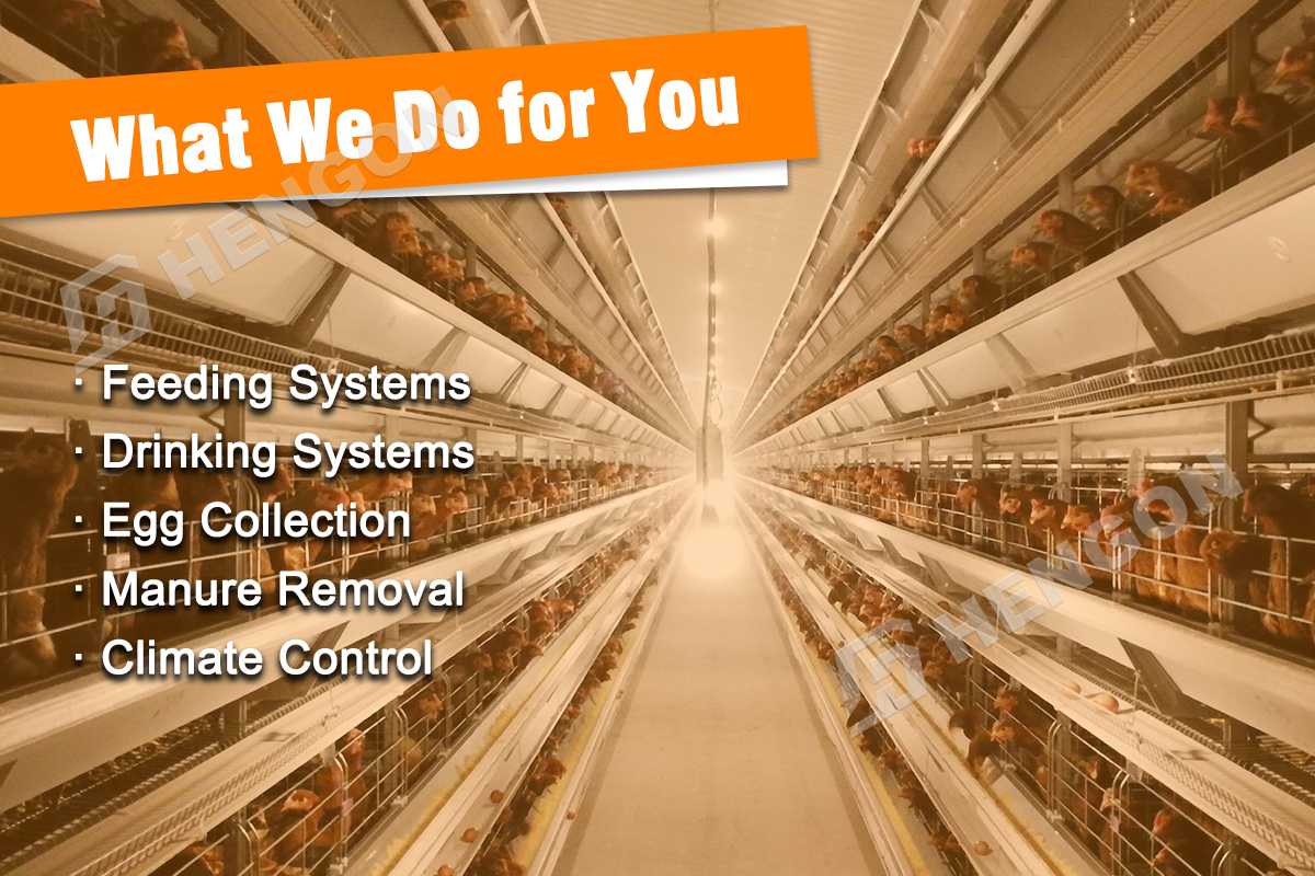 HengonPEB888's tweet image. One-Stop Poultry Farm Solutions
From feeding to climate control — everything designed for higher efficiency and healthier flocks.
📷 pebbuildingstructure.com
#SteelStructure #PrefabBuilding #CementPlant #Hengon #OneStopService #GlobalProjects  #factory #container #poultryfarm