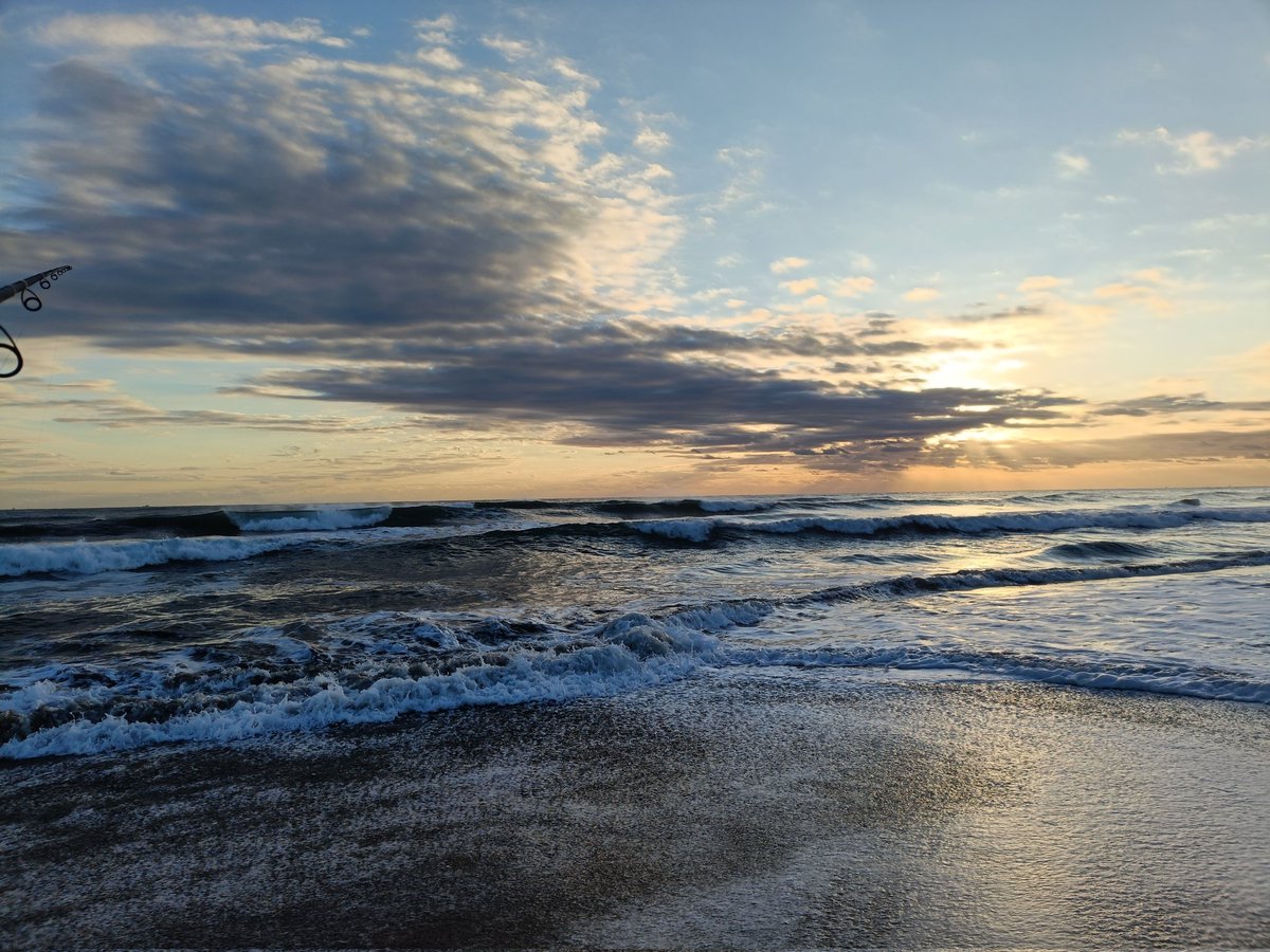 朝練#54終了、ホゲ😩
曇り、弱い追風、適度な波、鳥無し。いい雰囲気だけど生命感無くPNBで時間切れ。