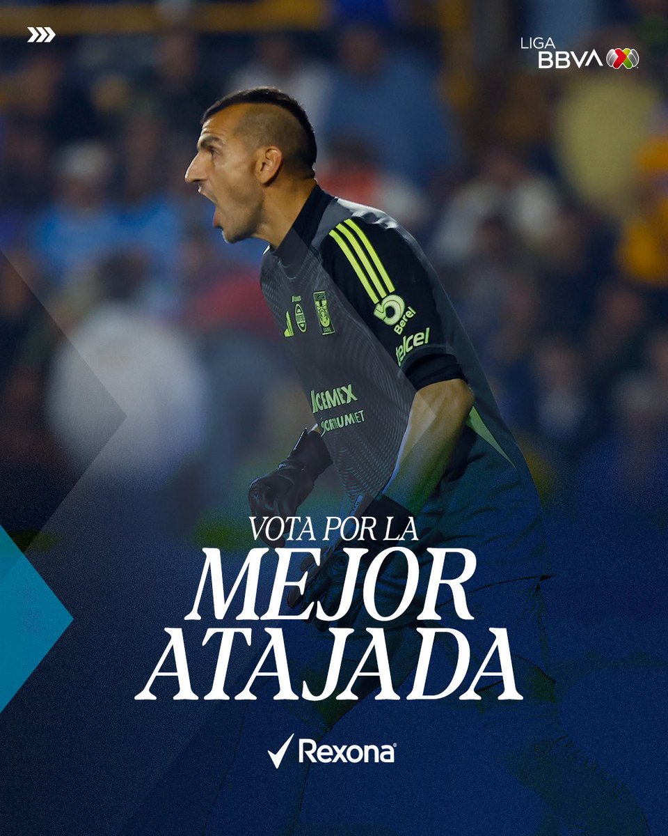 LigaBBVAMX's tweet image. Terminó el #AP25, pero aún falta elegir #LaMejorAtajada de la Final. 🧤

Entren al enlace y voten por alguna de las opciones que nos dejó @RexonaMx. ➡️ bit.ly/4aL51re ⬅️

#TOLUANL | #RexonaNoTeAbandona | #LaFinalDeLaAfición