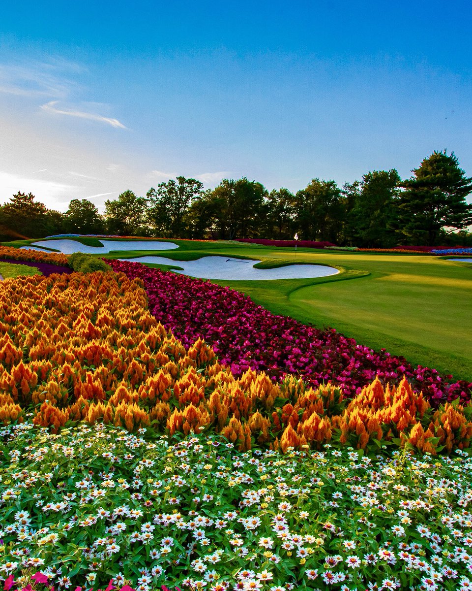 PGA's tweet image. Imagine this as your office every day 😍

That’s the case for PGA Merchandiser of the Year Danny Rainbow at @SentryWorld, where he’s Director of Golf &amp;amp; creates fun alternate-logoed headcovers, brings in cool golf accessories &amp;amp; makes the shop truly a one-of-kind buying experience.