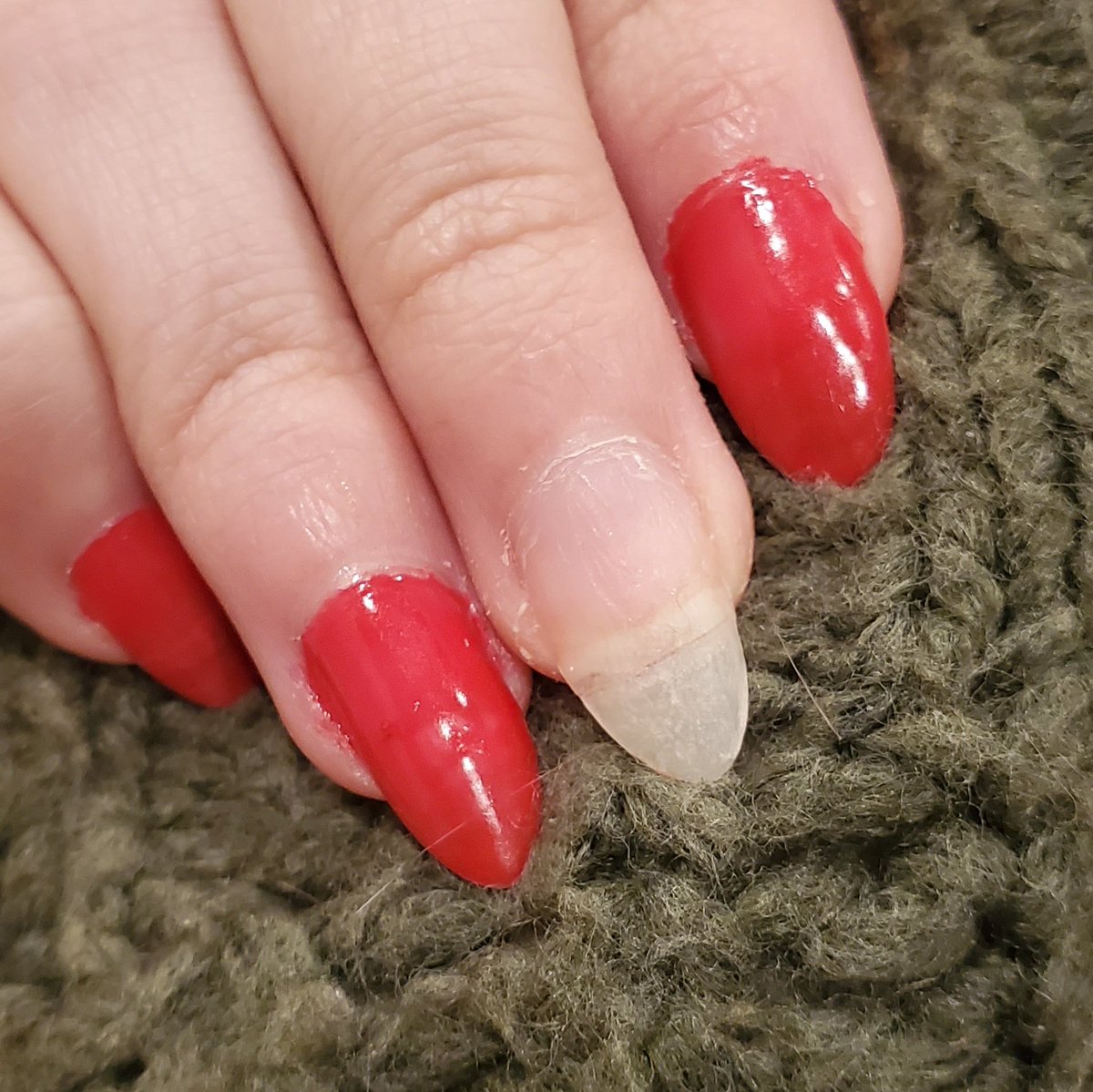 Krisona Moon tweet media