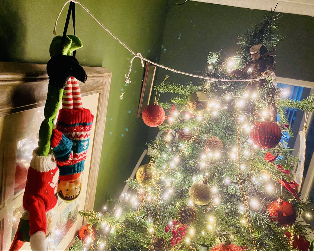 jamesonmaple tweet media