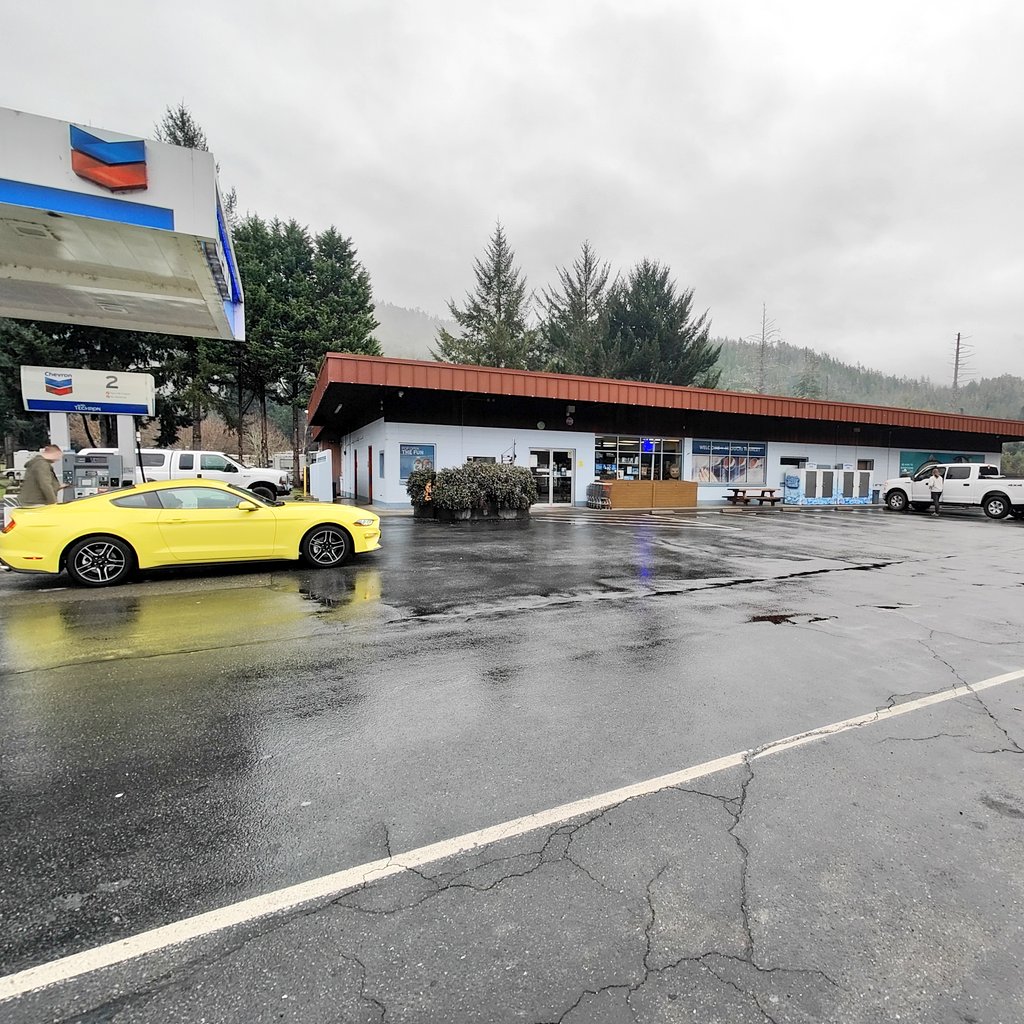 K_KnightsEnt's tweet photo. Road Trip

#RainTree 
#MustangMonday https://t.co/aHVFmO3MmP