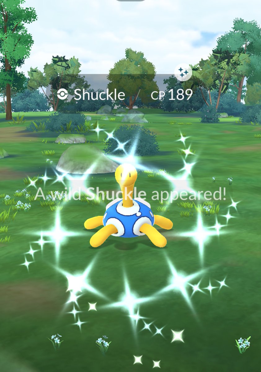 SmileThippy's tweet photo. ✩*✨ℋᵃᵛᵉ ᵃ ⁿⁱᑦᵉ ᵈᵃᵞ✩‧*˚✨
#ShinyMachop  #ShinyShuckle #ShinyTimburr #ShinyKricketot
#PokemonGO🧢🫶🏻 https://t.co/IkuUHraihQ