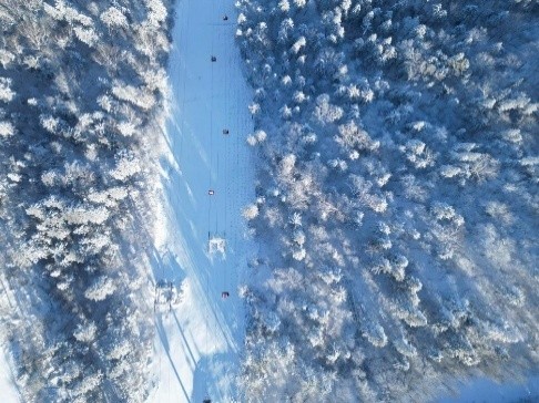 中国には既に15の大分類からなる氷雪装備・器材の製品体系が形成され