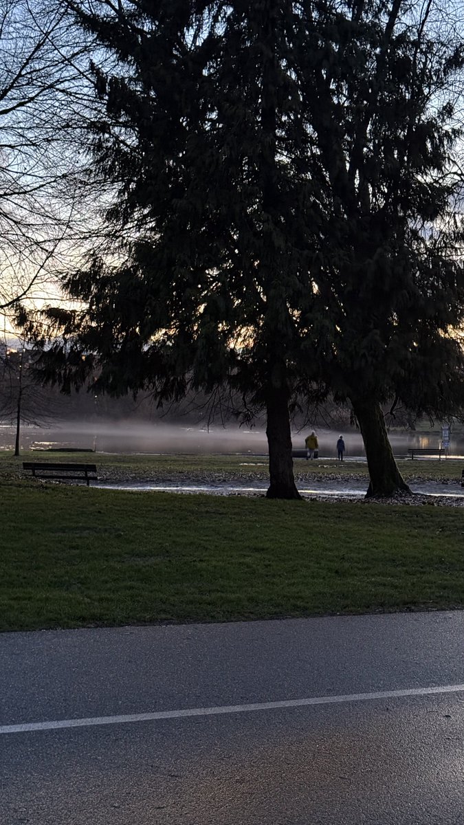 Lola 🐰 🍃 tweet media