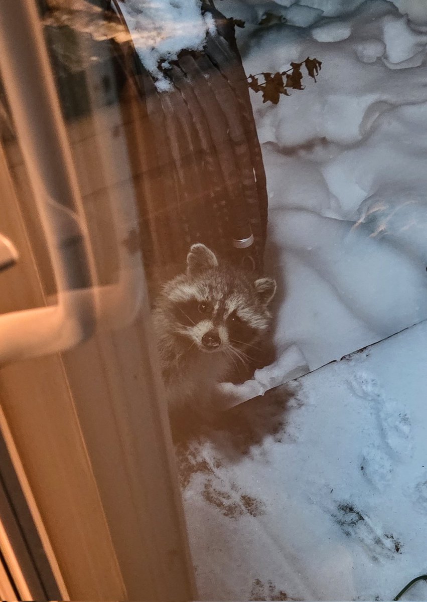 RobTerwilliger's tweet image. Oh hi