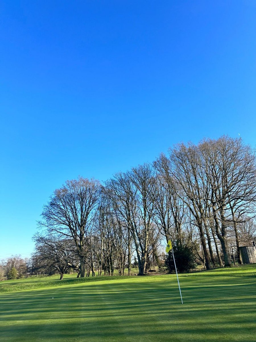 Angie575ce's tweet image. 