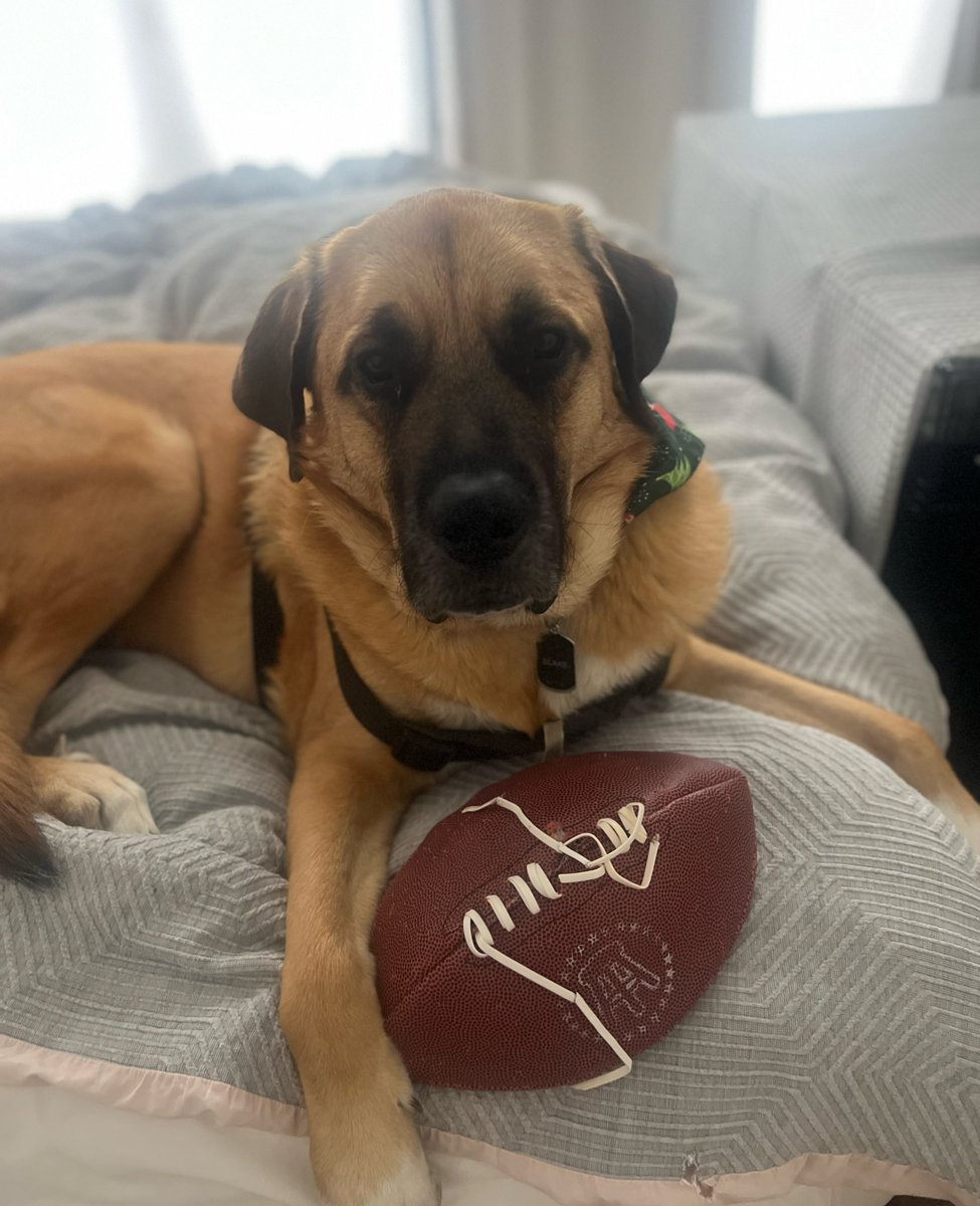 PFT Commenter tweet media