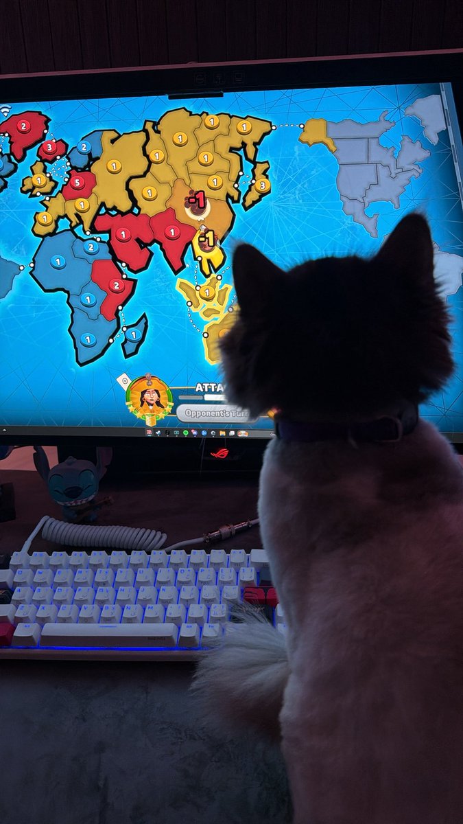 تشوف فشل امها