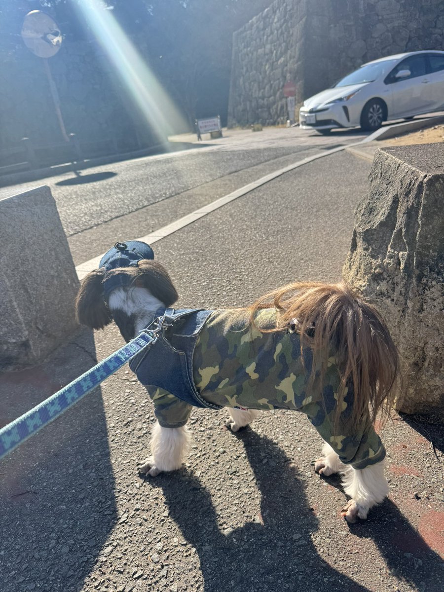 kayo (@f_kayo) / Posts / X