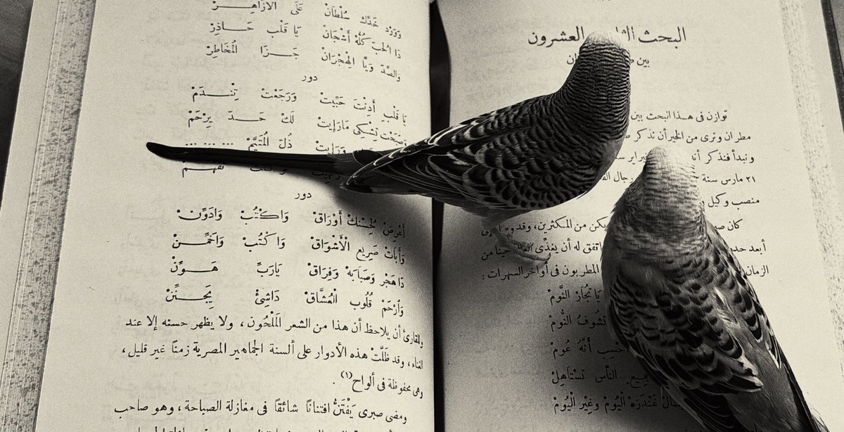 i__2ss's tweet photo. نَوَاعِمُ لا يَعْرِفنَ بُؤْسَ مَعِيشَةٍ
وَلَا دَائرَاتِ الدَّهْرِ كَيْفَ تَدُورُ https://t.co/cCAFfI850q