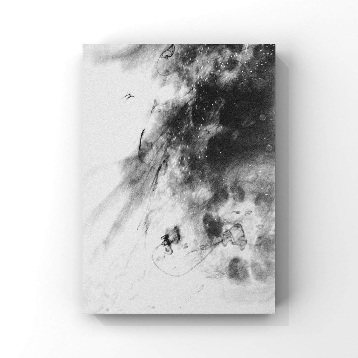 イソ｜#ISO1638400 (@iso1638400) / Posts / X