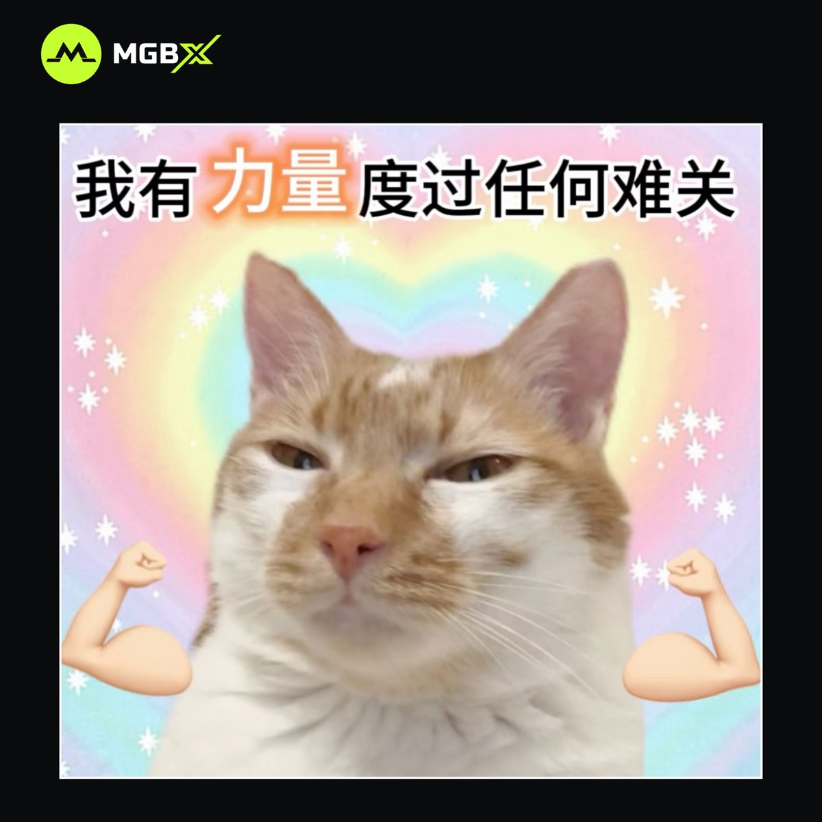 猫咪也疯狂- Top 10件猫咪也疯狂- 2025年12月更新- Taobao, image size:1200x1200