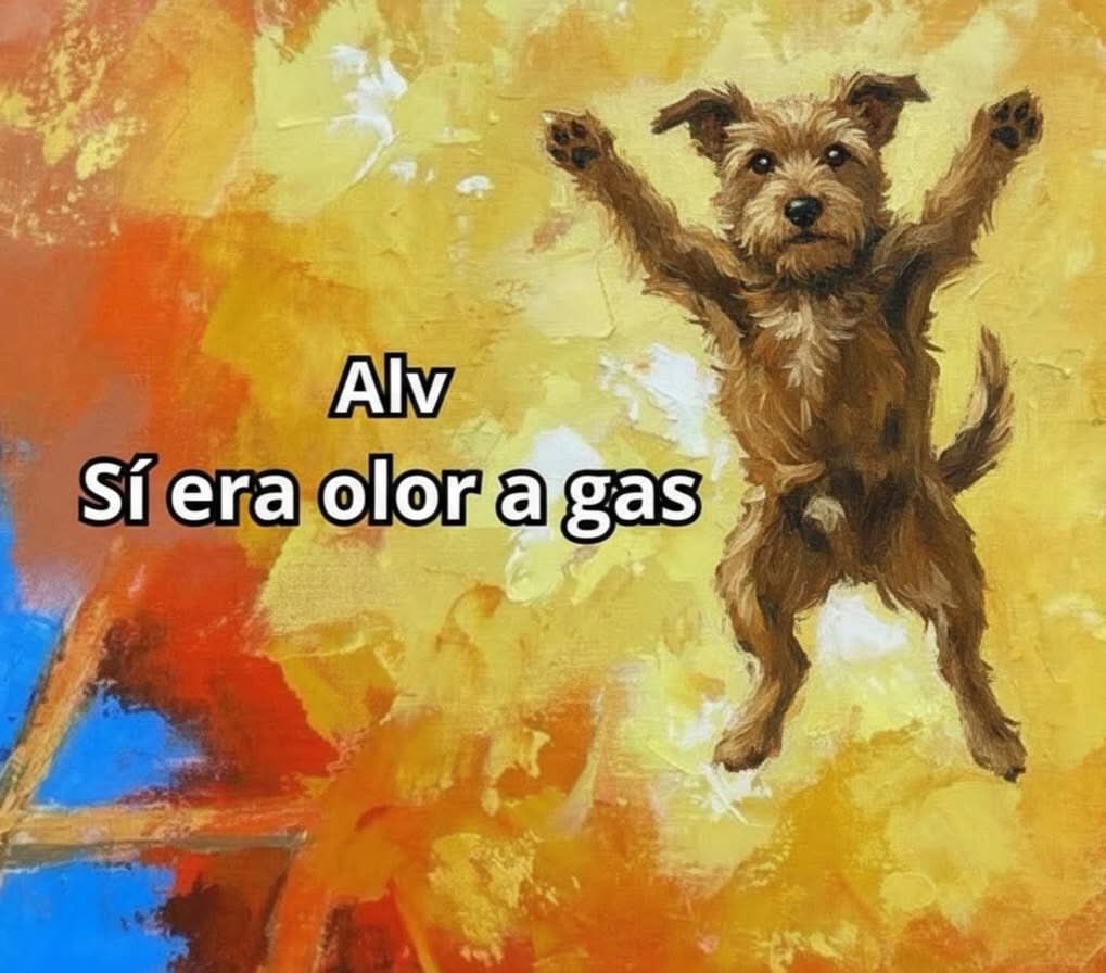 DiloConPerritos's tweet photo. https://t.co/6s8e6ShdXL