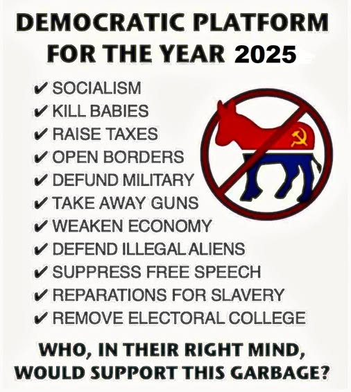 Why would any sane person support the Democratic Party?