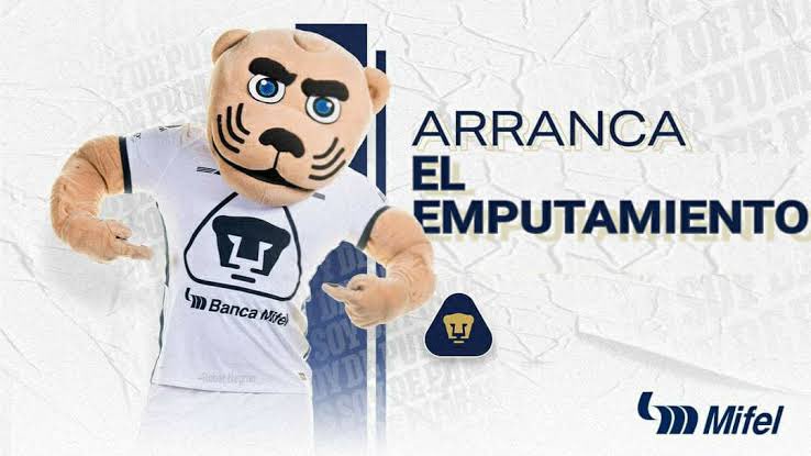 Manolo 🏴☠️ tweet media