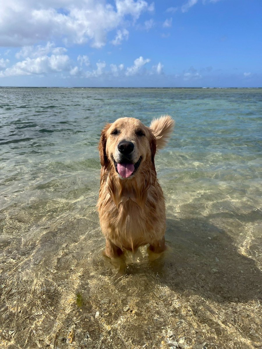 yumippe4981's tweet image. なんかめっちゃ笑ってる写真出てきた