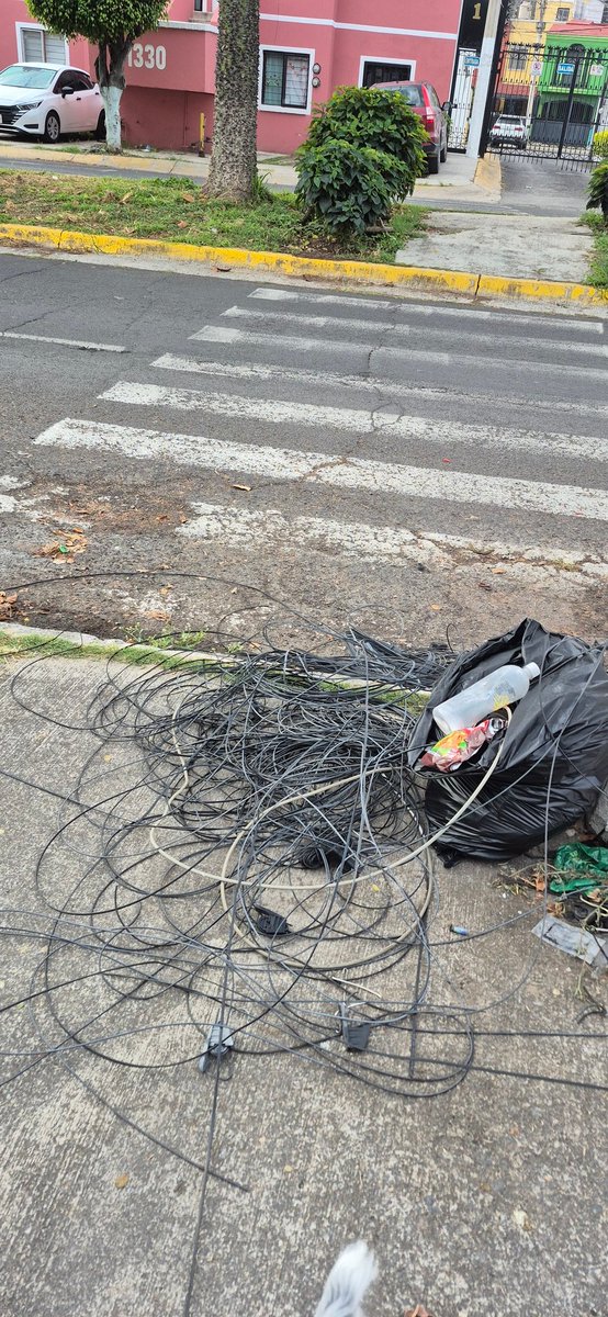 OscarEC_'s tweet photo. Hola @ZapopanGob @JuanJoseFrangie la empresa @totalplaymx tiene dos semanas cambiando sus fibras en la colonia Conjunto Laureles. El problema es que ha dejado toda la basura tirada en las banquetas y colgando de los postes. Urge retirar los cables riesgosos. https://t.co/PoVLone2SZ