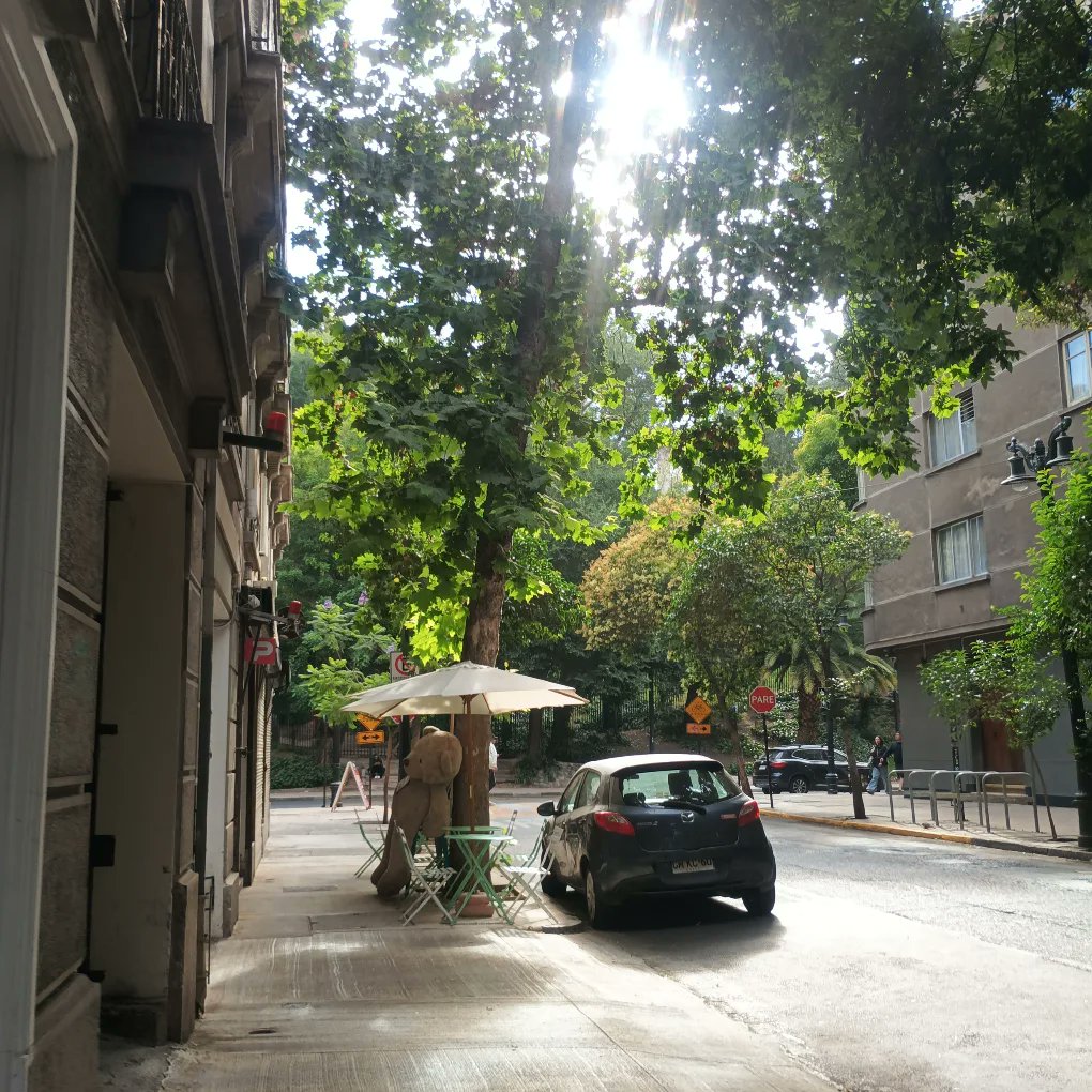 Mariola✿♡♡ tweet media