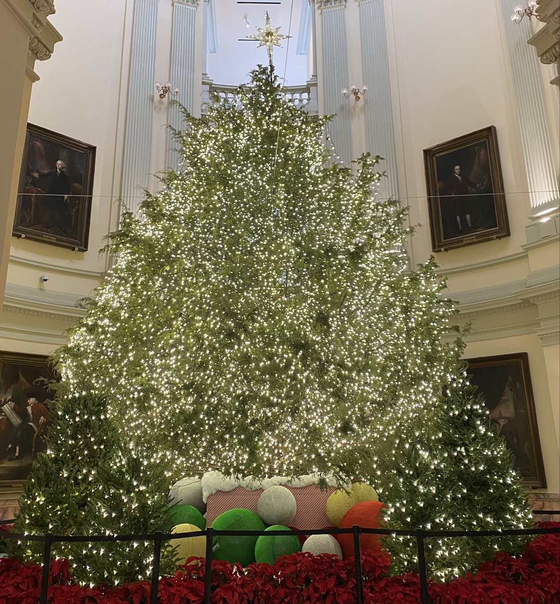 tom q. gehl tweet media