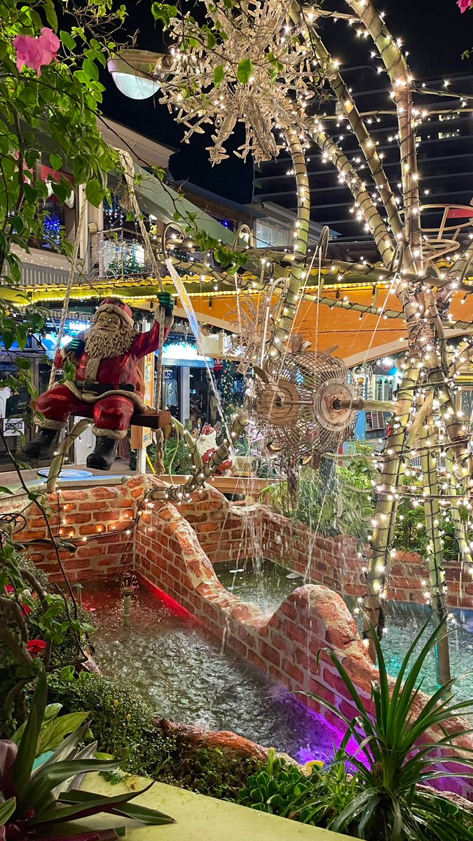 沖縄にも夢の国があるんです🎅🎄

#沖縄 #アメリカンビレッジ