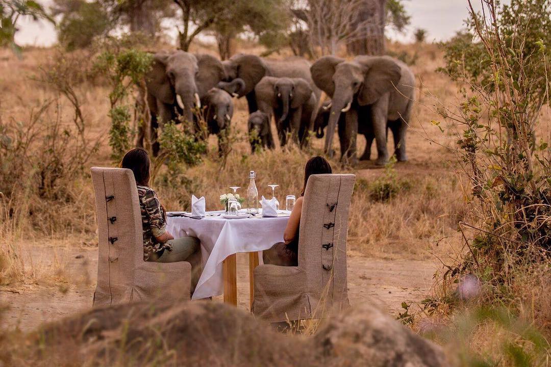 chaztours's tweet photo. Discover how to experience Africa's natural beauty while supporting conservation! Chaz Tours and Travel offers eco-friendly safaris, combining thrilling wildlife encounters with sustainability. Read more and make your safari meaningful: https://t.co/bT983DW6iS #SustainableTourism https://t.co/N6p7rlJzDe