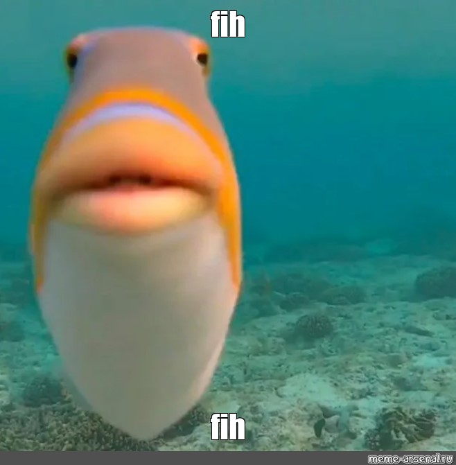 <a href="/penguin_curator/">Enguin 🐧</a> Not $fih

7mLj7hayfcRstcyqTWySVaWB962YbfsVYYSnCMbTpump