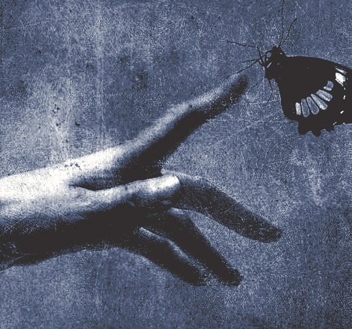 𝕰𝖑𝖊𝖔𝖓𝖔𝖗𝖆. tweet media