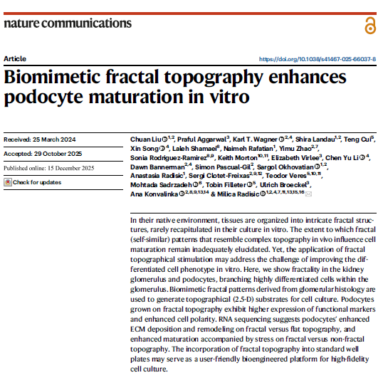 Milica Radisic tweet media