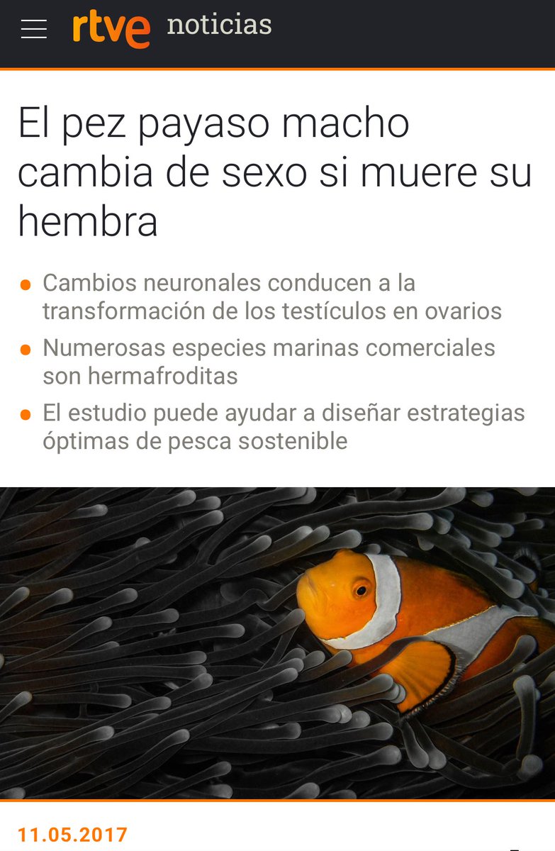La Matahari 🔪 tweet media